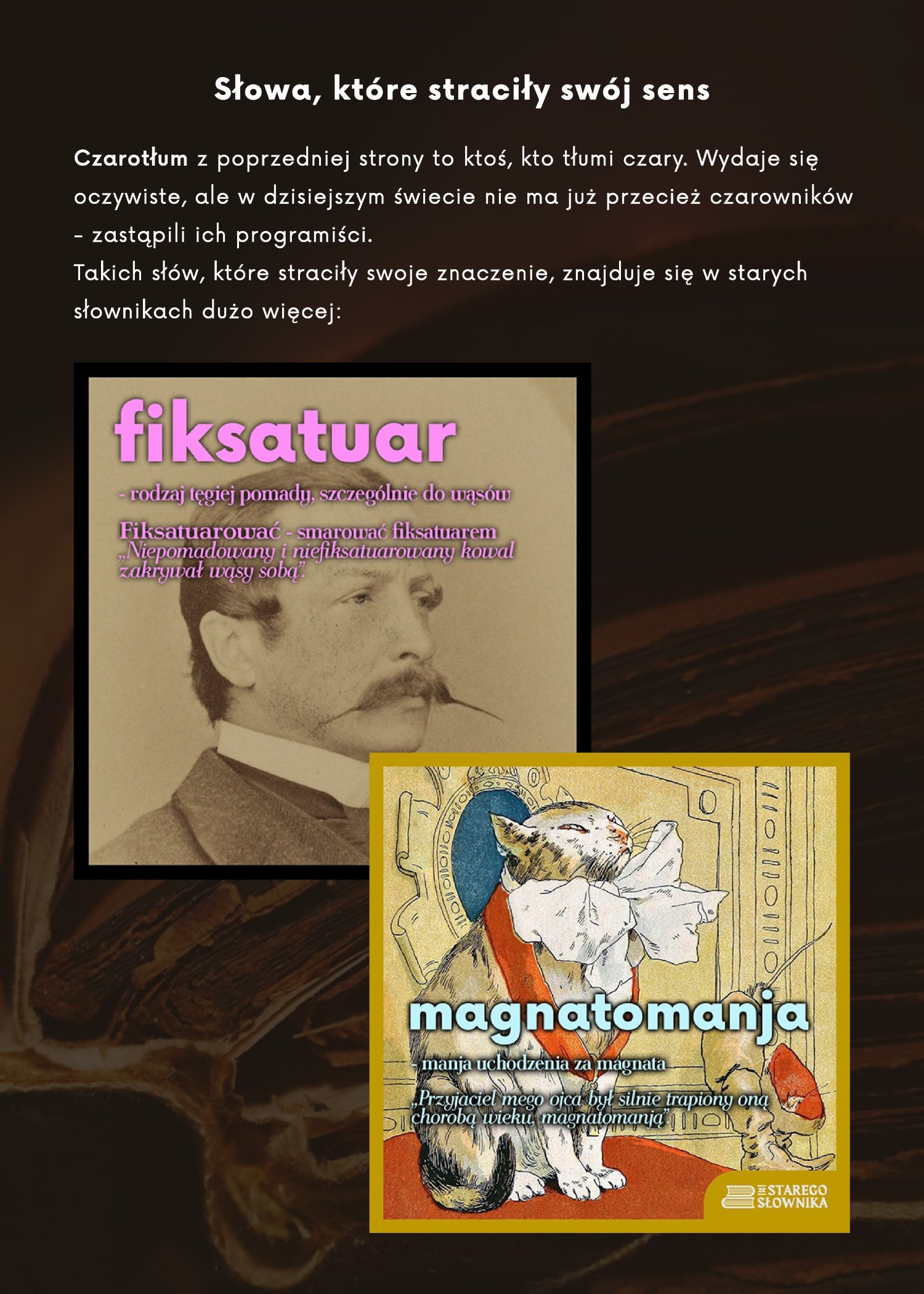 plansza o s�owach fiksatura i magnatomania