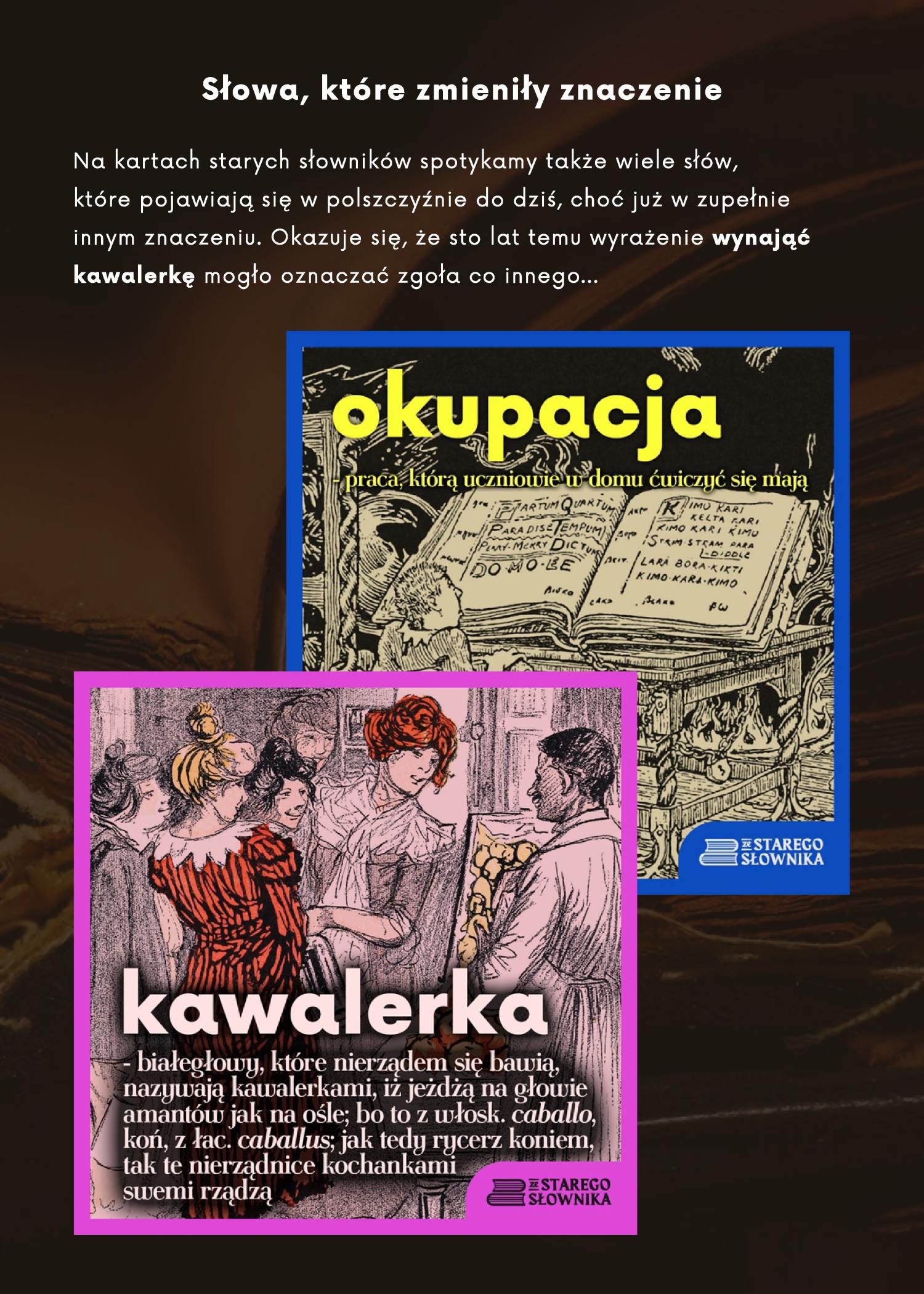 plansza o s�owach okupacja i kawalerka
