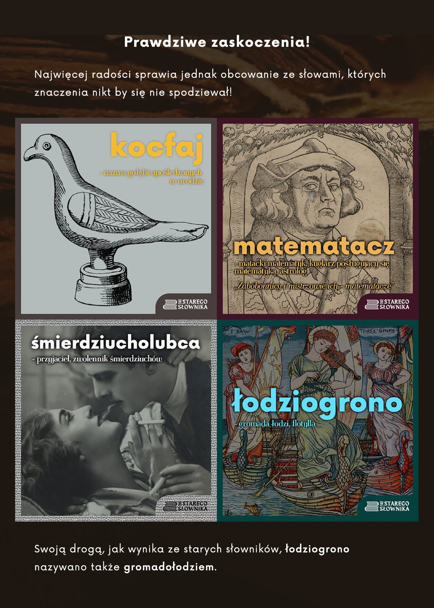 plansza o s�owach kocfaj, matematacz, �mierdzicholubca, �odziogrono